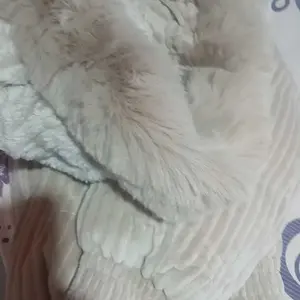 Foto da avaliação